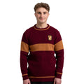 Maglione Quidditch Grifondoro