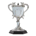 Coppa del Torneo Tremaghi