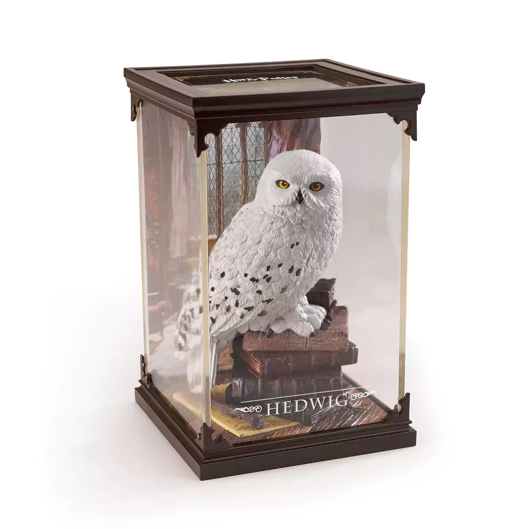 Creature magiche - Edvige