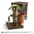 Creature magiche - Mandragola (Mandragora)