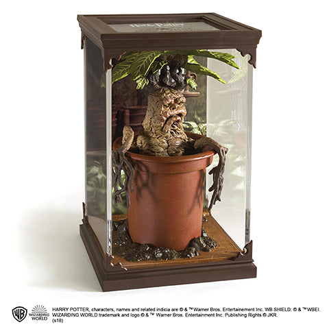 Creature magiche - Mandragola (Mandragora)