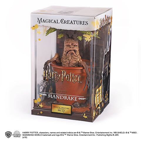 Creature magiche - Mandragola (Mandragora)
